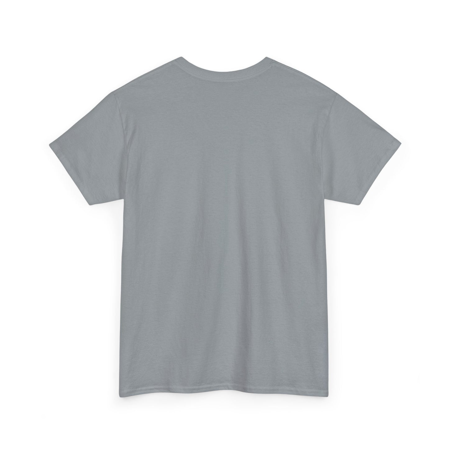 Avalanche Graphic Tee (AVAX) (Front Logo)