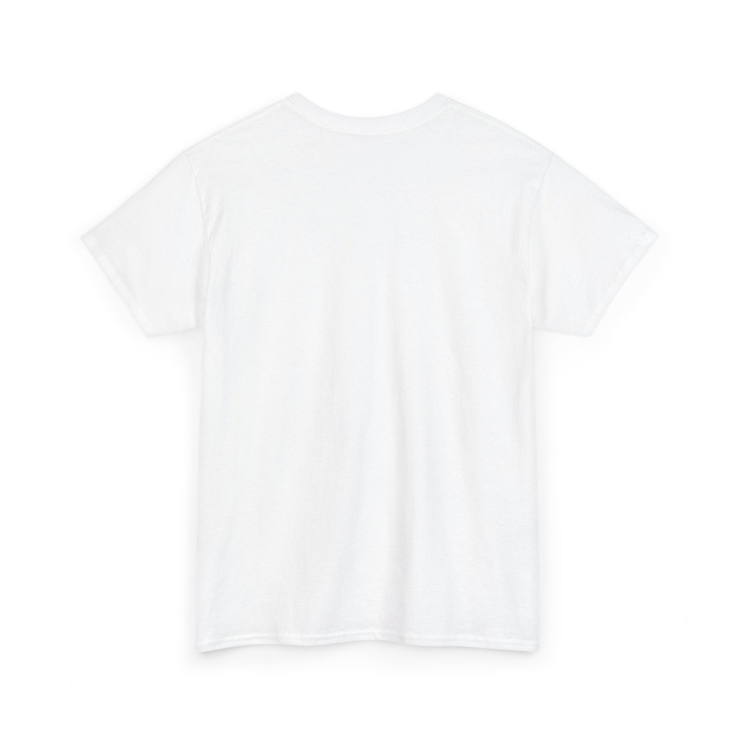 Avalanche Diagram Graphic Tee (AVAX) (Front & Back Logo)