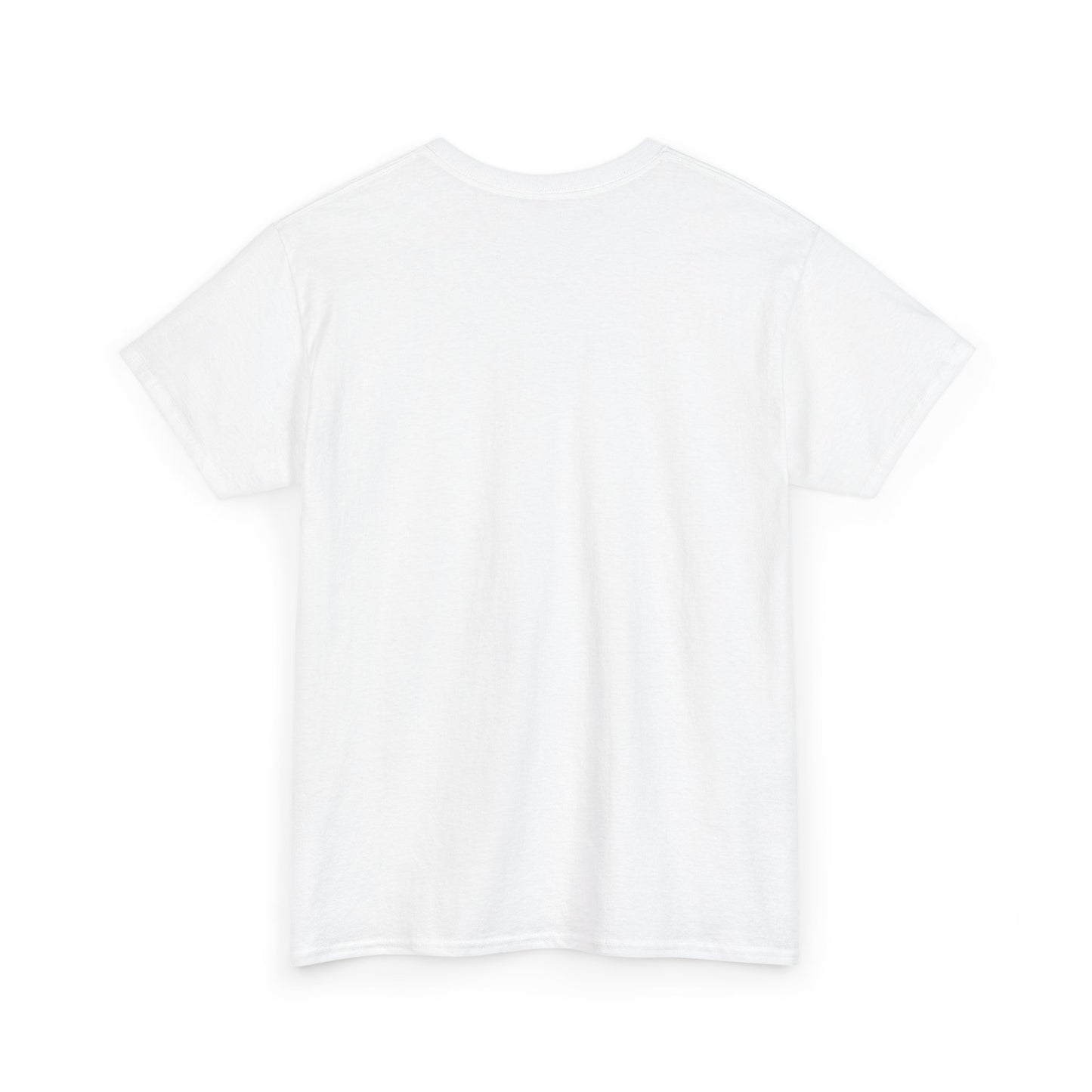 Avalanche Graphic Tee (AVAX) (Front Logo)