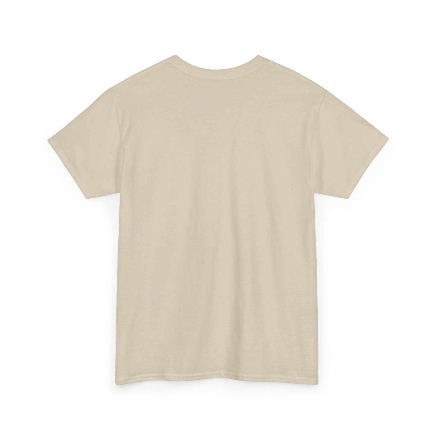 Avalanche Graphic Tee (AVAX) (Front Logo)