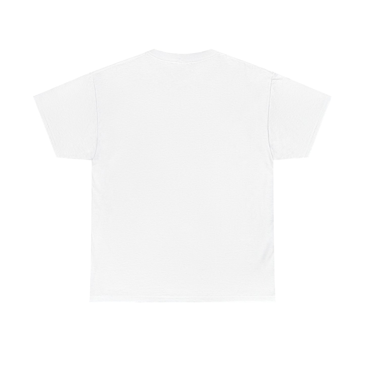 Avalanche Graphic Tee (AVAX) (Front Logo)