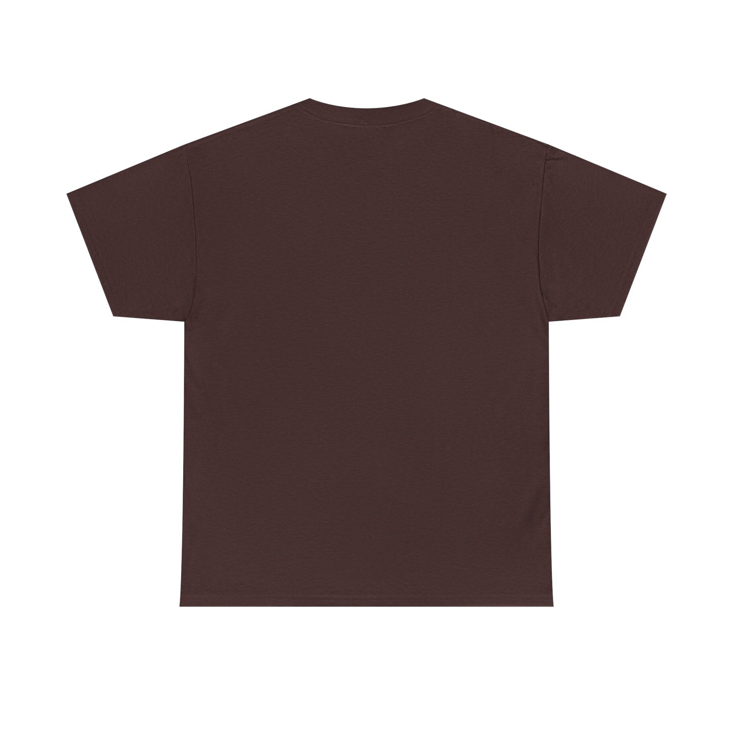 Avalanche Graphic Tee (AVAX) (Front Logo)