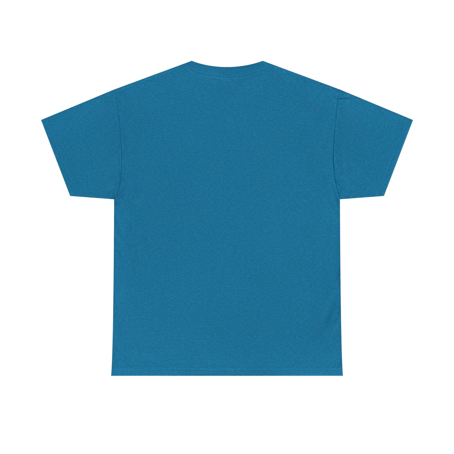 Avalanche Graphic Tee (AVAX) (Front Logo)