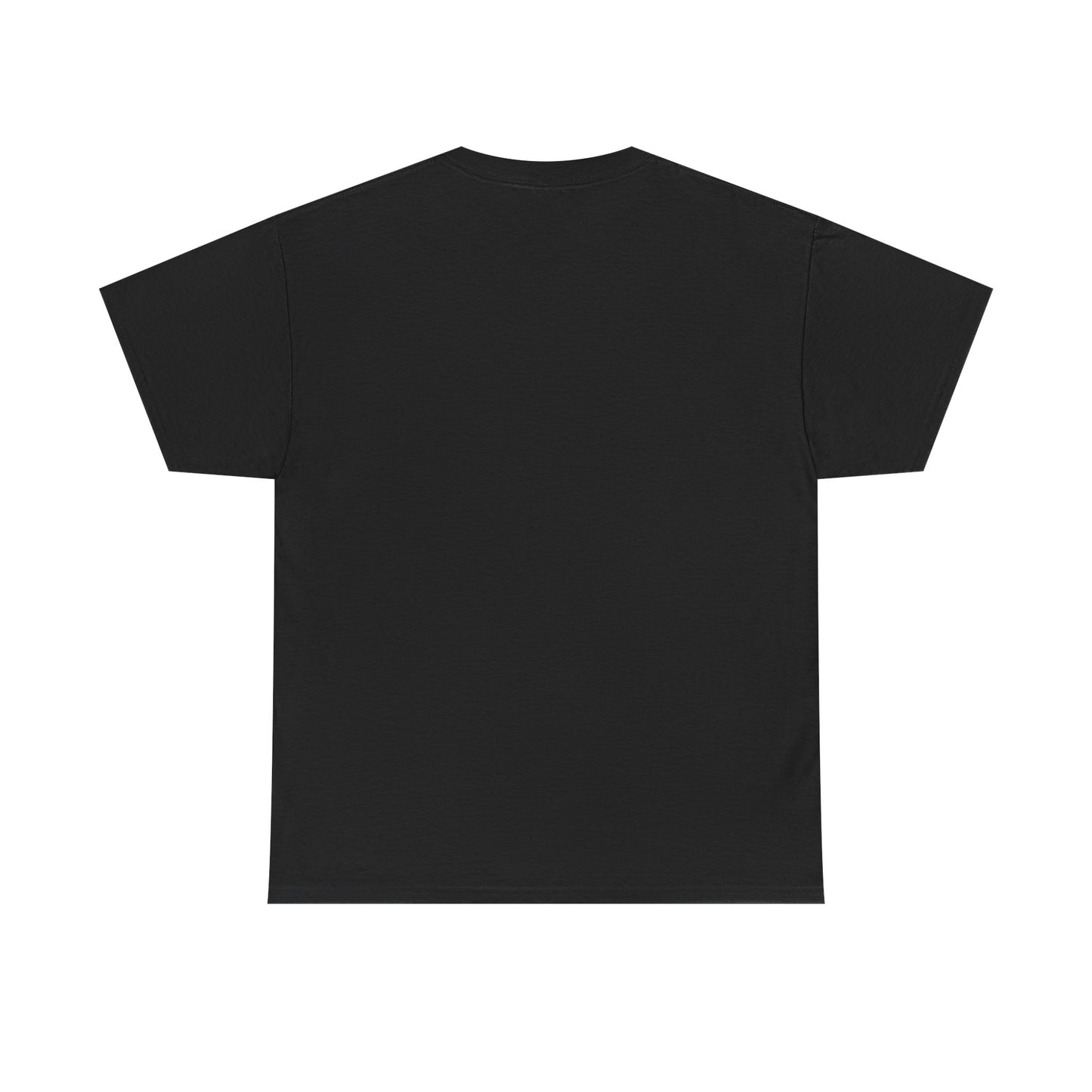 Avalanche Graphic Tee (AVAX) (Front Logo)
