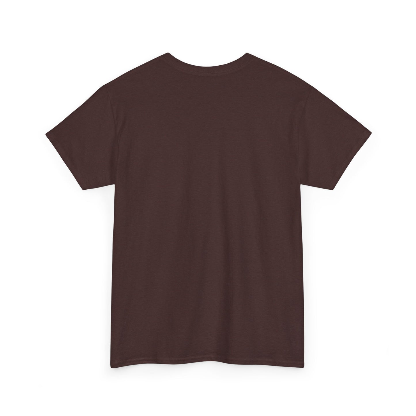 Avalanche Graphic Tee (AVAX) (Front Logo)