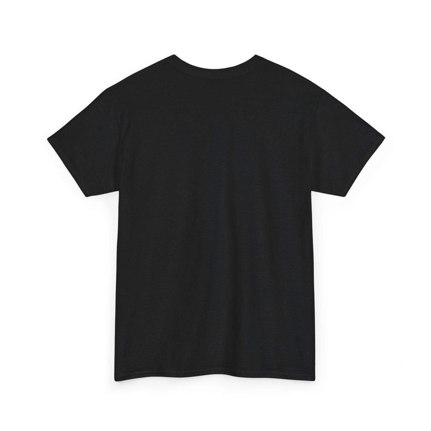 Avalanche Graphic Tee (AVAX) (Front Logo)