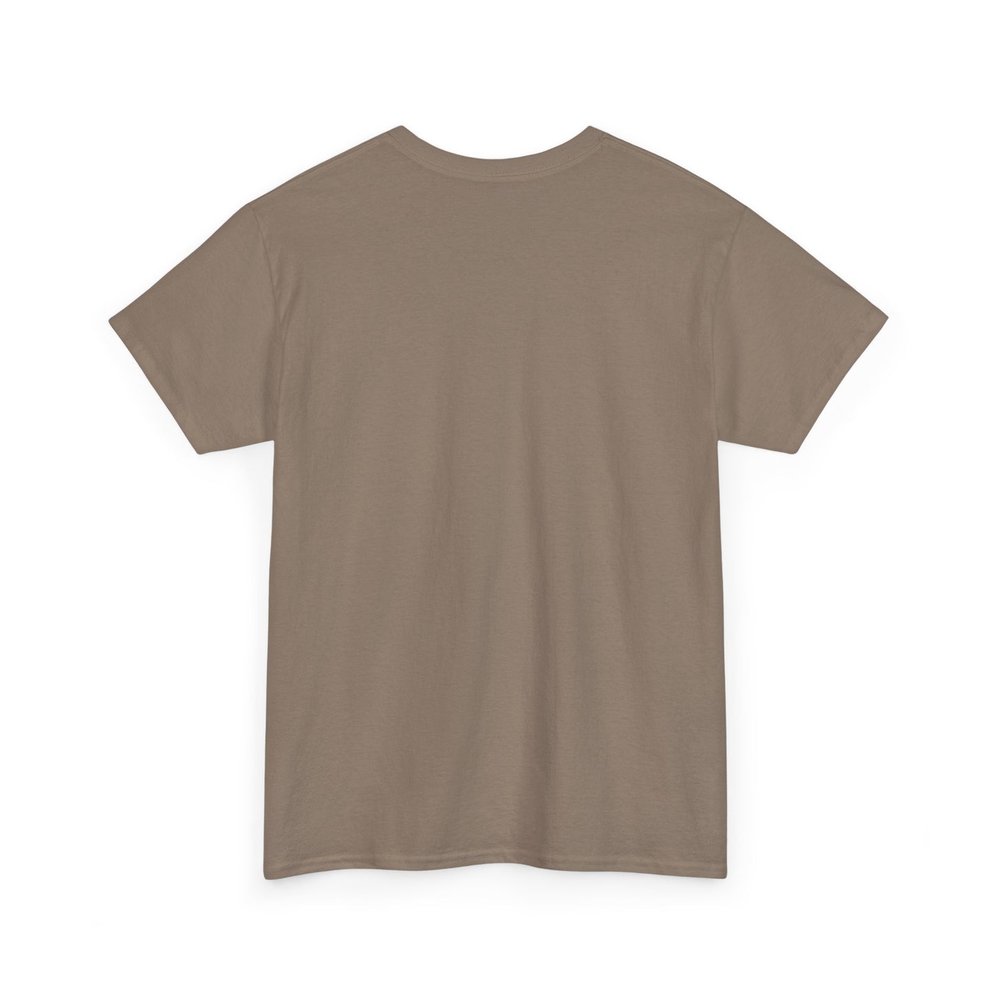 Avalanche Graphic Tee (AVAX) (Front Logo)