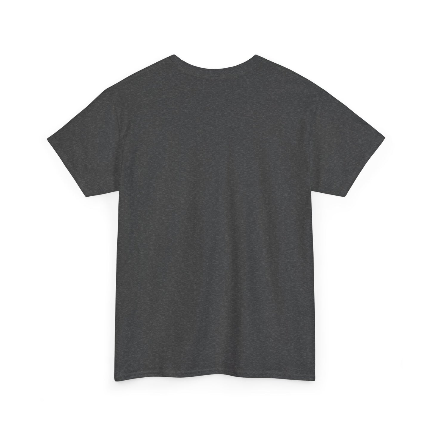 Avalanche Graphic Tee (AVAX) (Front Logo)