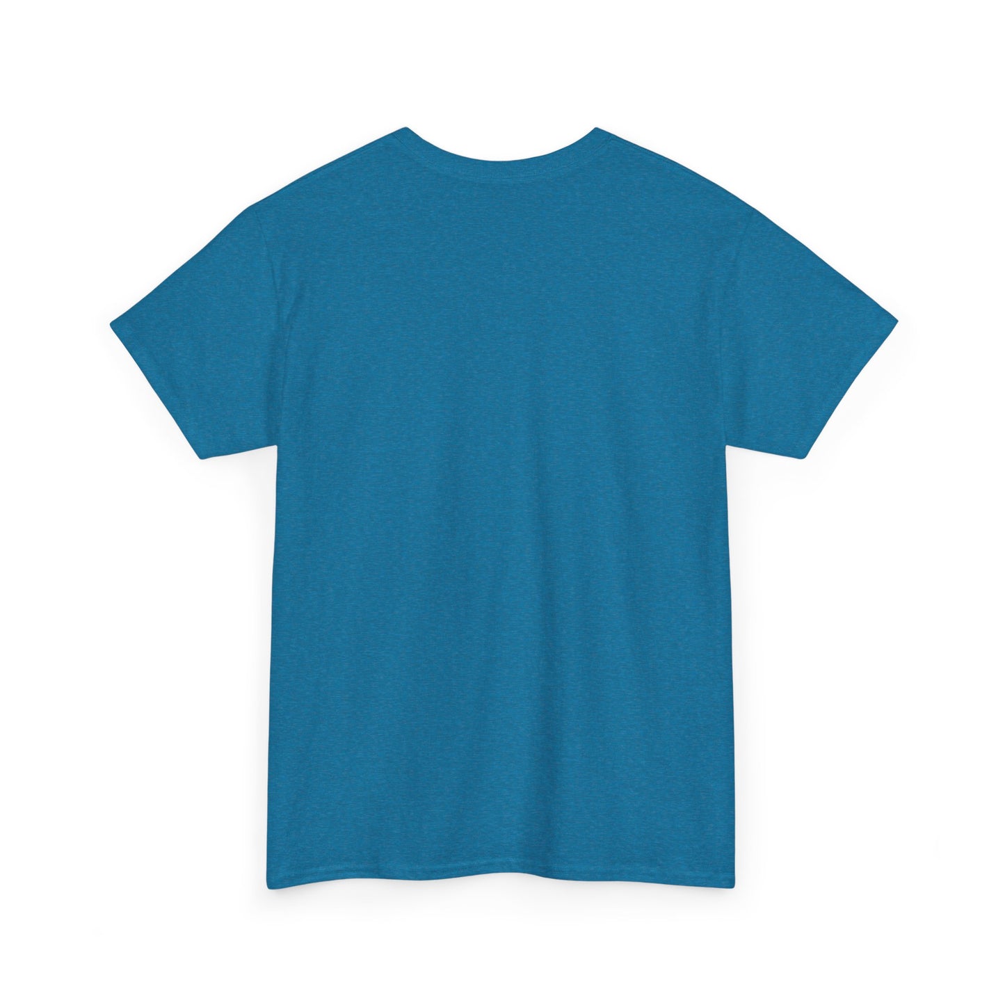Avalanche Graphic Tee (AVAX) (Front Logo)